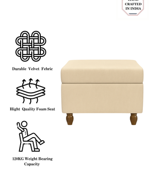 Modern Trunk Storage Ottoman-Beige