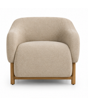 Living Room Chair